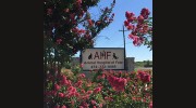 Animal Hospital Of Fate