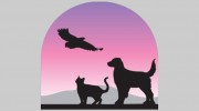 Mobile Pet Medical Care
