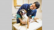 Lakewood Animal Hospital
