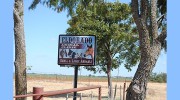 Eldorado Animal Clinic
