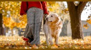Mt. Pleasant Vet Clinic
