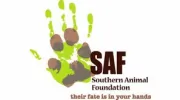 Southern Animal Foundation