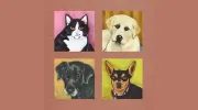 Animal Care Hospital of Phoenix