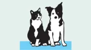 Back Bay Veterinary Hospital