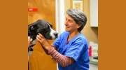 Double A Veterinary Hospital