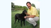 Westwood Veterinary Hospital
