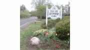 East Side Veterinary Clinic