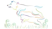 City Animal Hospital