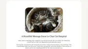 Le Chat Cat Hospital