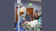 Orchard View Veterinary Center