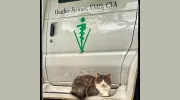 Carousel Mobile Veterinary Services