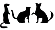 South Bay Veterinary Clinic
