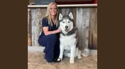 Fenton River Veterinary Hospital