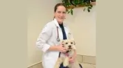 Pet Friends Veterinary Hospital