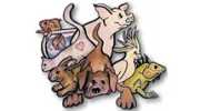The Critter Care Center