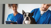 Powers Pet Emergency