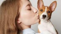 Pet Wellness